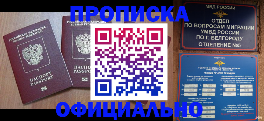 найти адрес прописки в Кашире